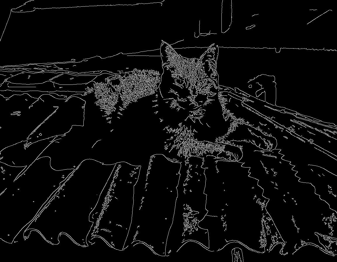 Контрольное изображение для Canny