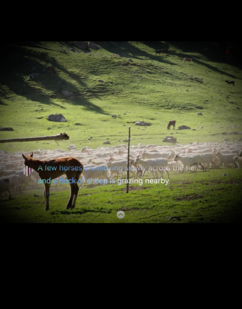 AI ассистент RayNeo X3 Pro